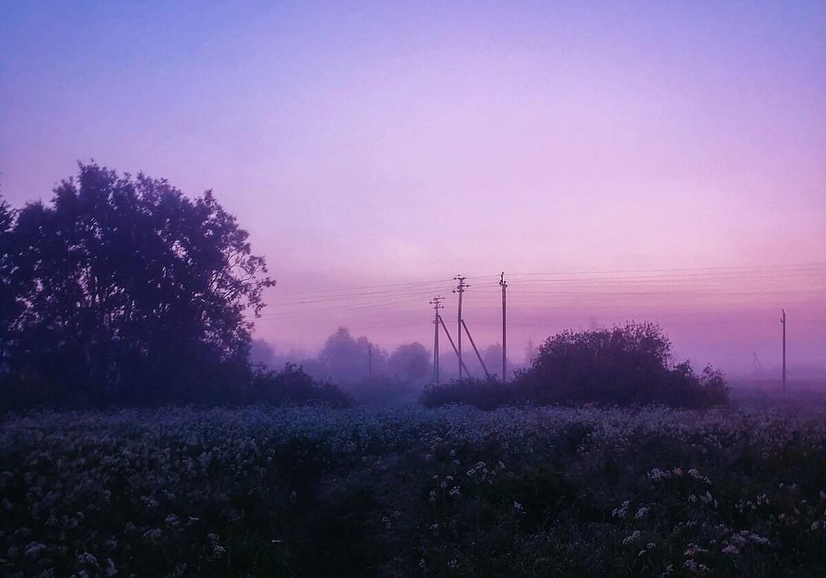 网友惊呼:探花太离谱了