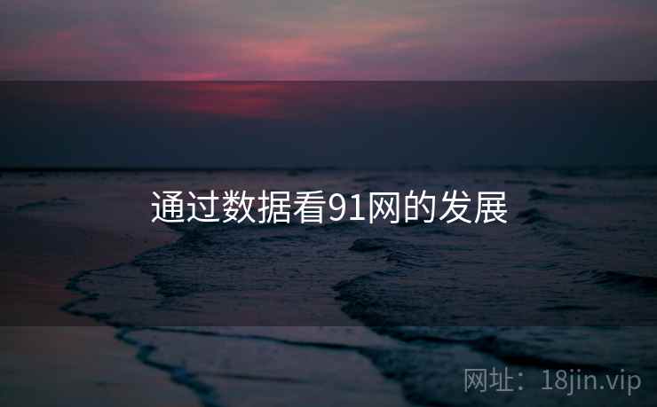 通过数据看91网的发展 通过数据看91网的发展
