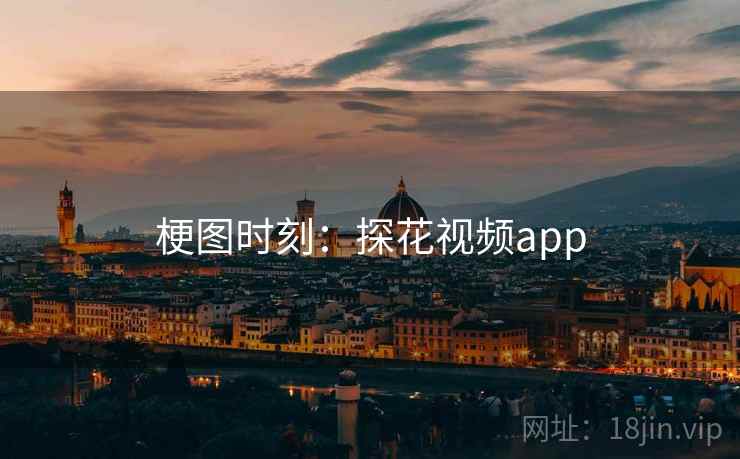 梗图时刻：探花视频app