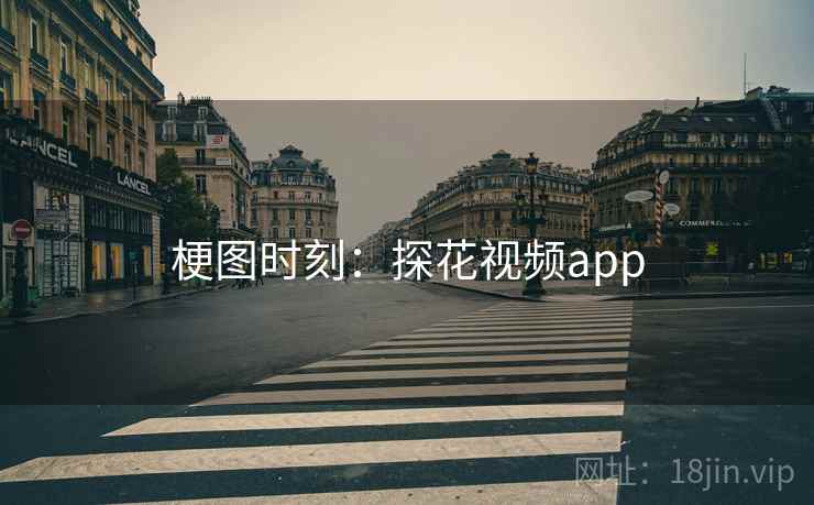 梗图时刻：探花视频app