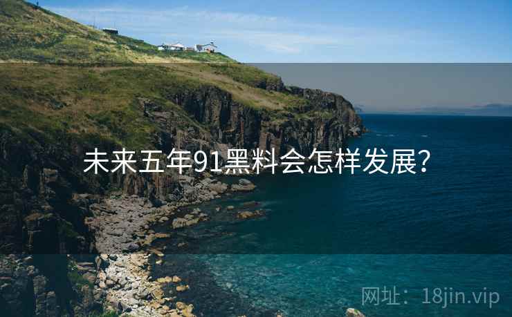 未来五年91黑料会怎样发展? 未来五年91黑料会怎样发展?