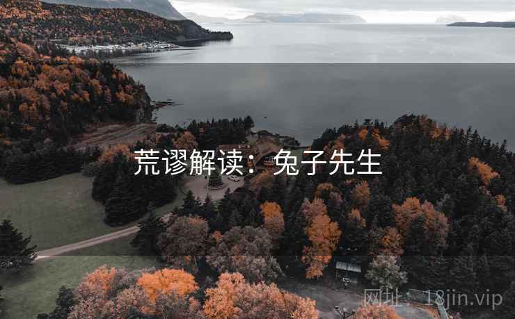 荒谬解读：兔子先生