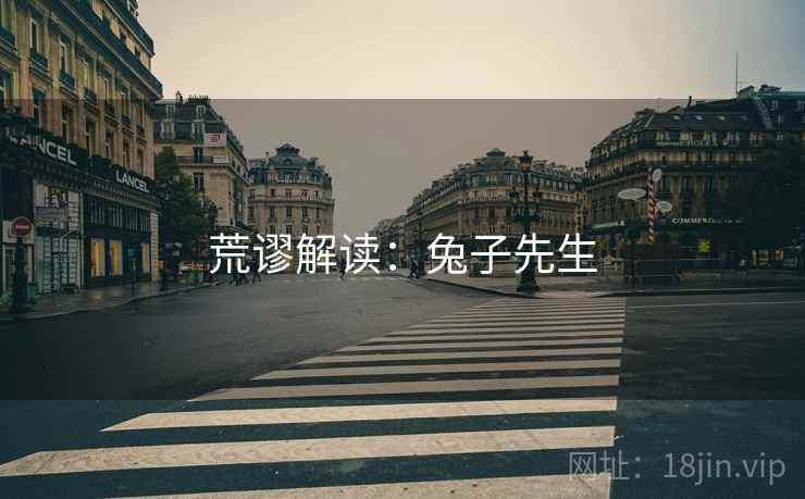 荒谬解读：兔子先生