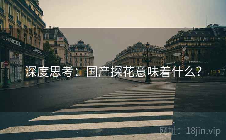 深度思考：国产探花意味着什么？