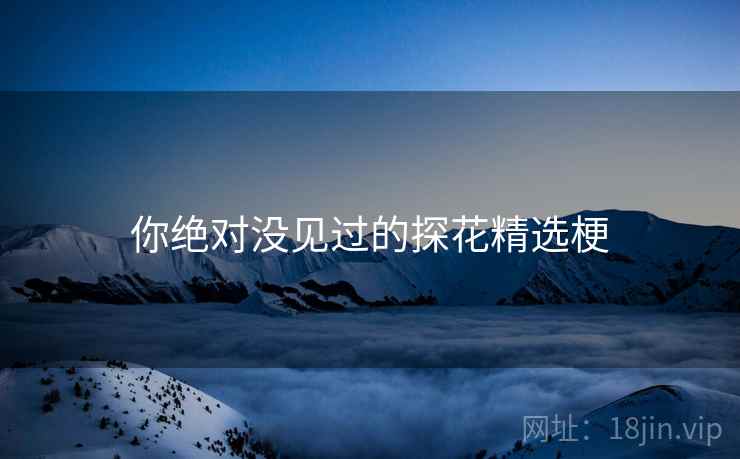 你绝对没见过的探花精选梗 你绝对没见过的探花精选梗
