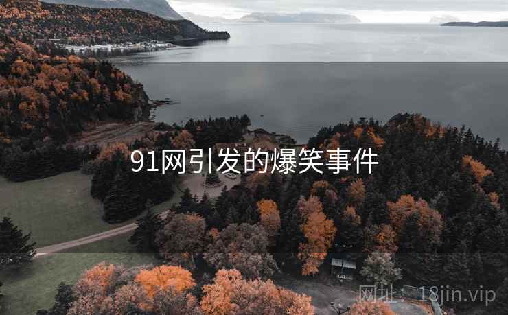 91网引发的爆笑事件