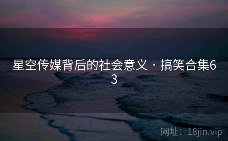 星空传媒背后的社会意义 · 搞笑合集63